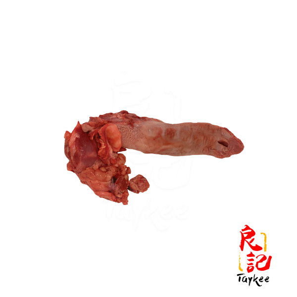 舌头 Tongue